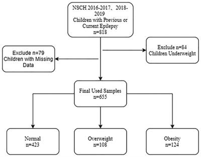 Exploring correlation between social determinants and overweight/obesity in children and youths with epilepsy